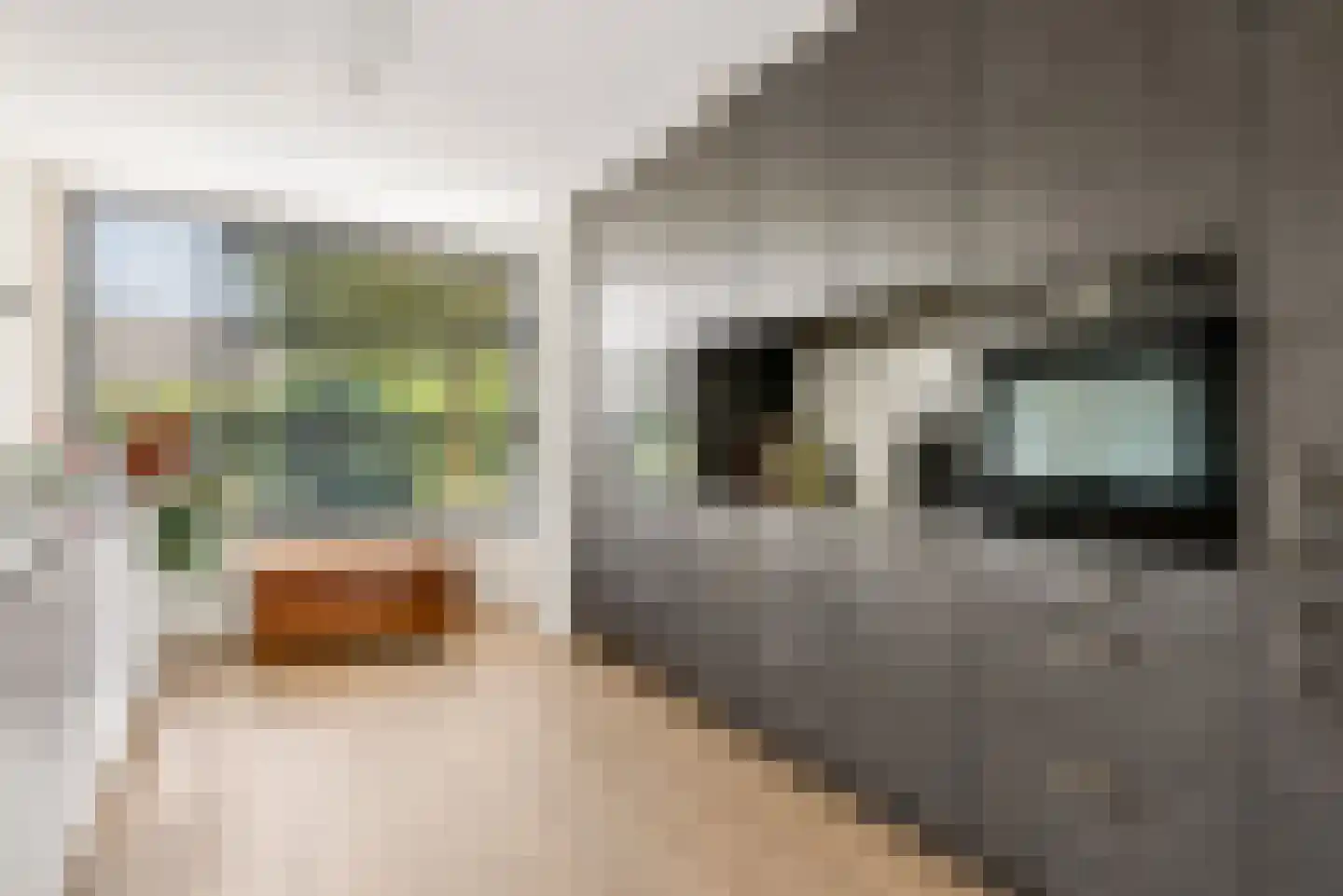 Picassoweg 17 Almere thumbnail 18