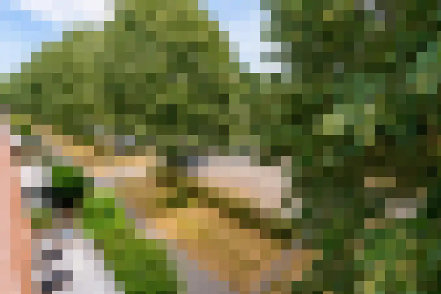 Picassoweg 17 Almere thumbnail 45