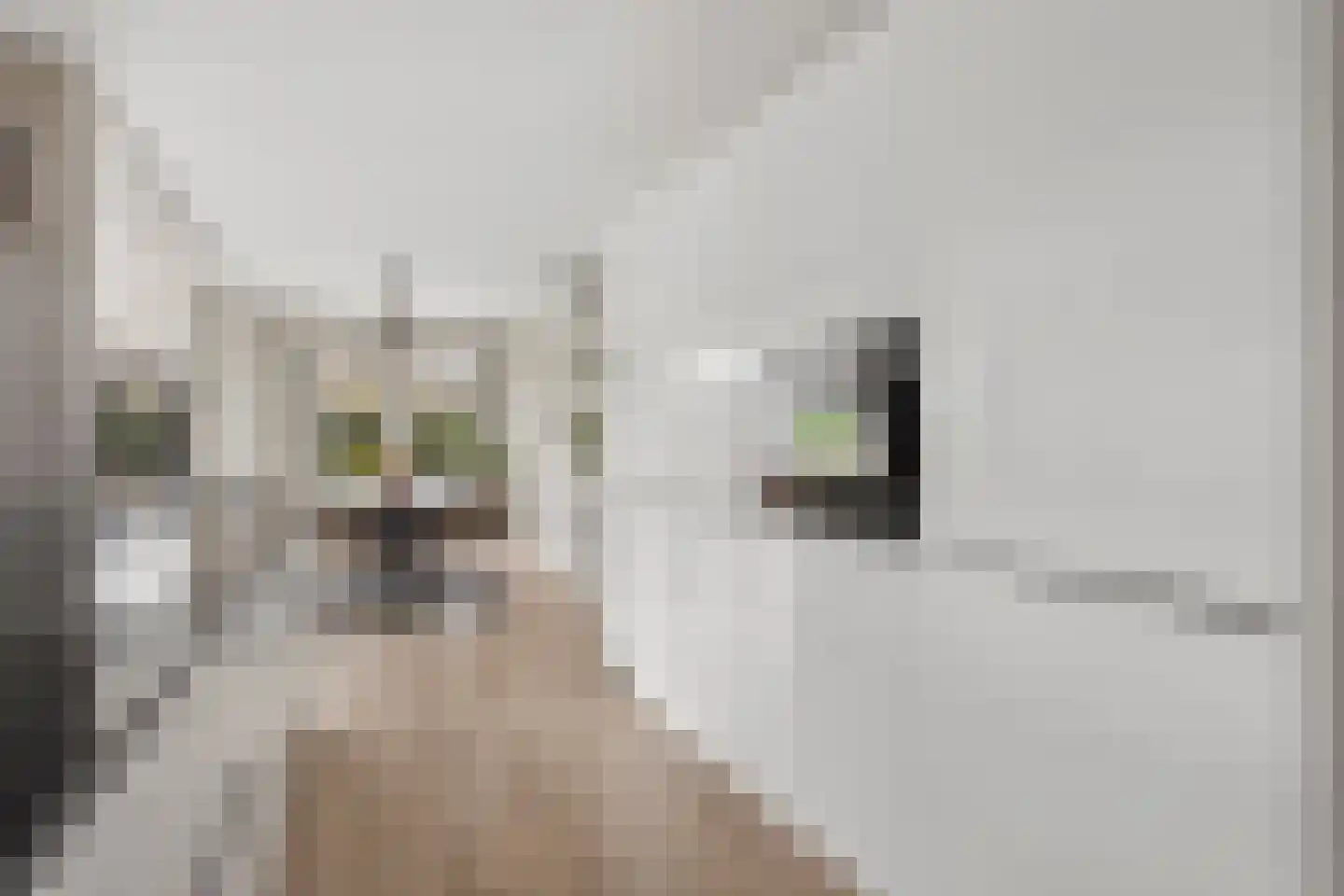 Picassoweg 20 Almere thumbnail 16