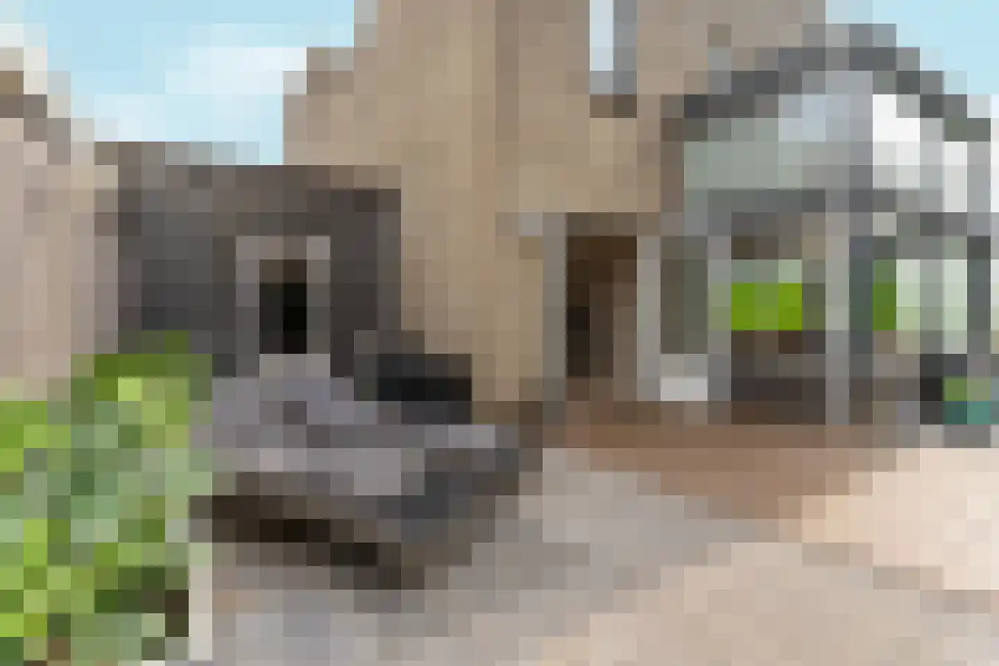 Picassoweg 20 Almere thumbnail 55