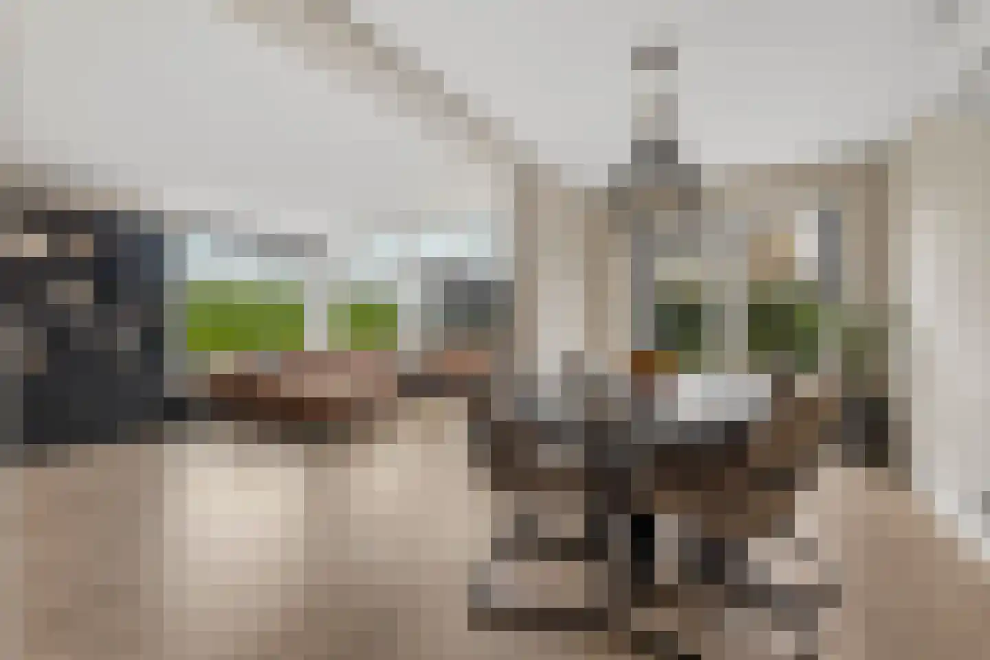Picassoweg 20 Almere thumbnail 7