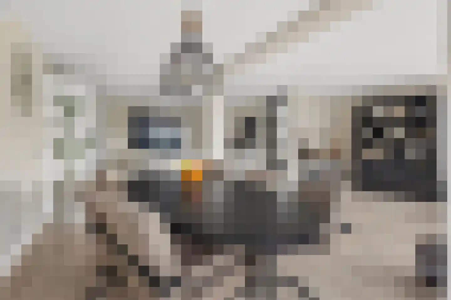 Picassoweg 20 Almere thumbnail 8