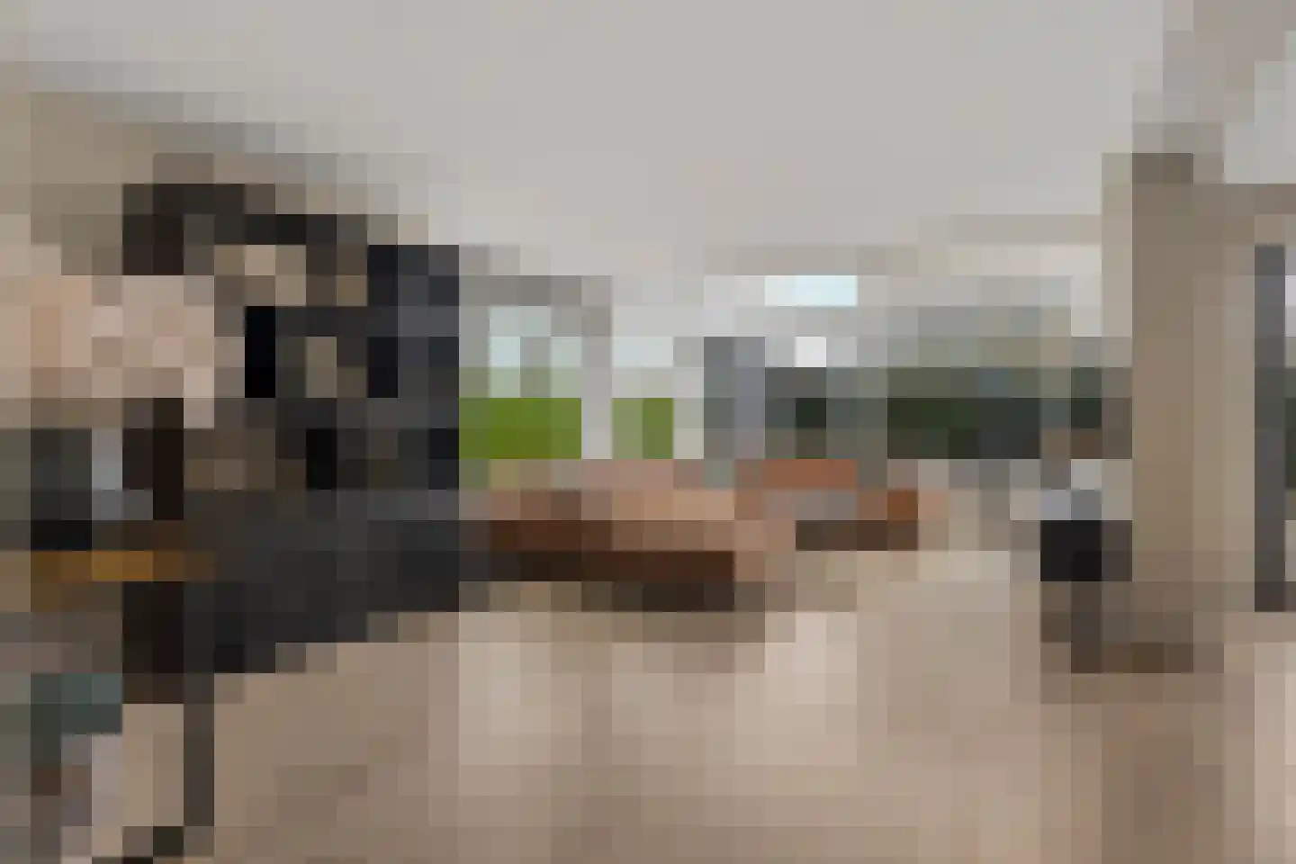 Picassoweg 20 Almere thumbnail 9