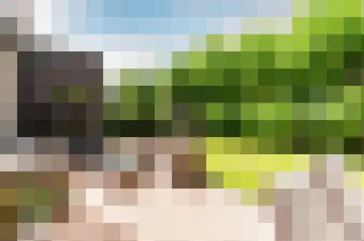 Picassoweg 32 Almere thumbnail 33