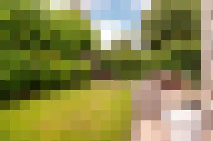 Picassoweg 32 Almere thumbnail 34