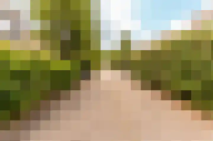 Picassoweg 32 Almere thumbnail 37