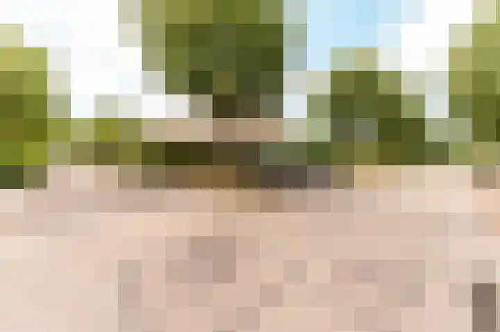 Picassoweg 32 Almere thumbnail 38