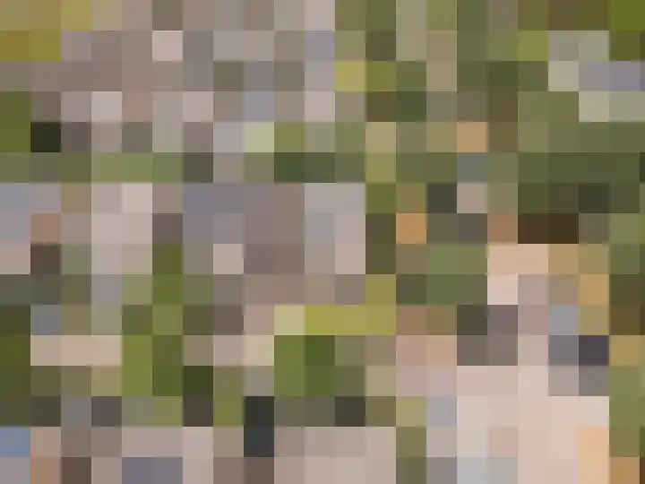 Picassoweg 32 Almere thumbnail 39