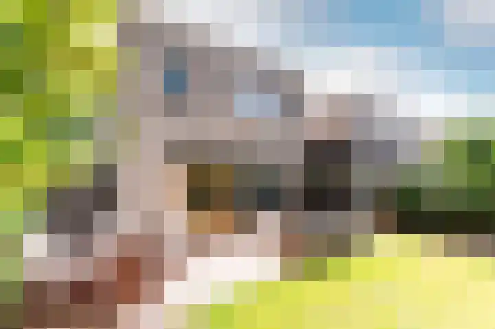 Picassoweg 32 Almere thumbnail 4