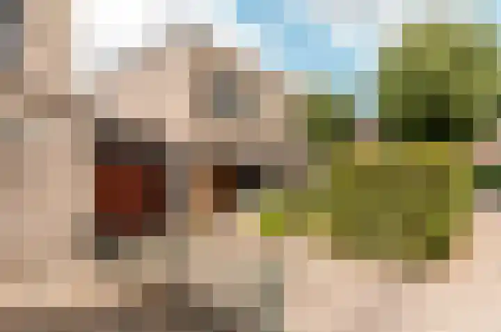 Picassoweg 32 Almere thumbnail 5