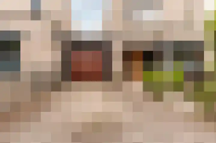 Picassoweg 32 Almere thumbnail 6