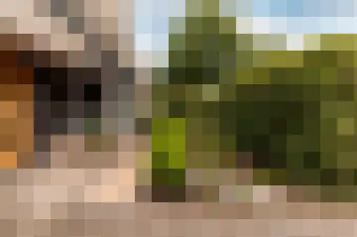 Picassoweg 32 Almere thumbnail 7