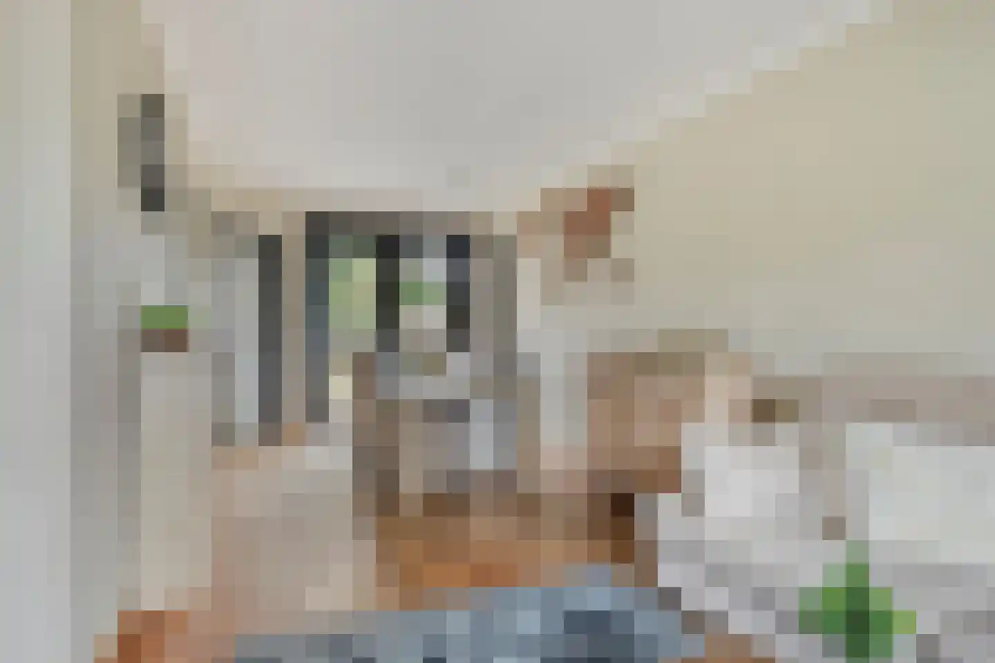 Piccardtstraat 16 Goes thumbnail 11