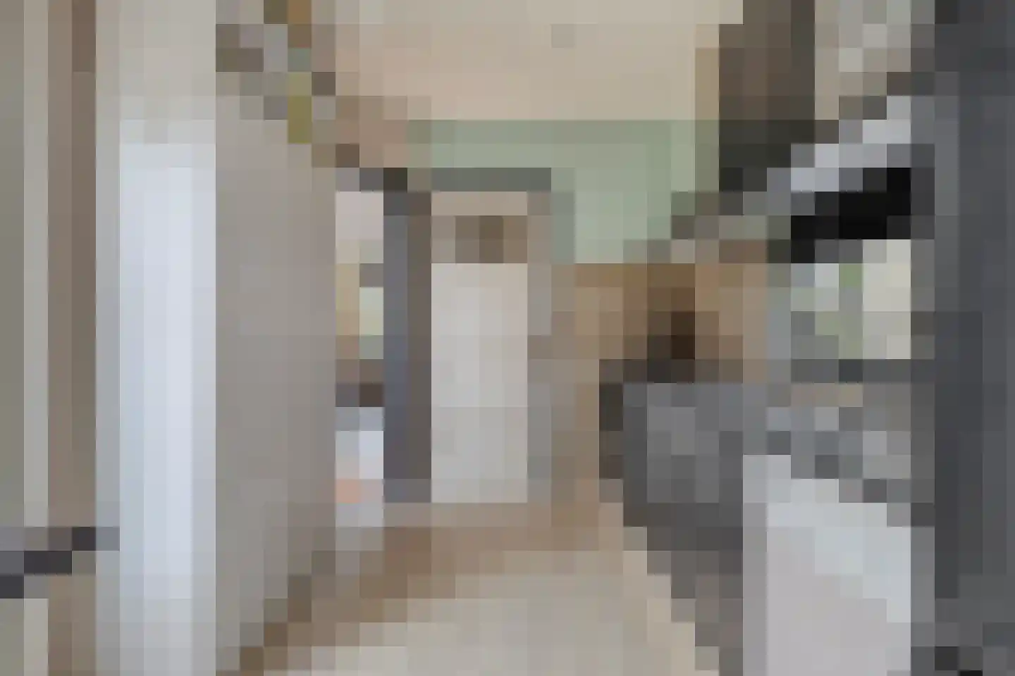 Piccardtstraat 16 Goes thumbnail 15