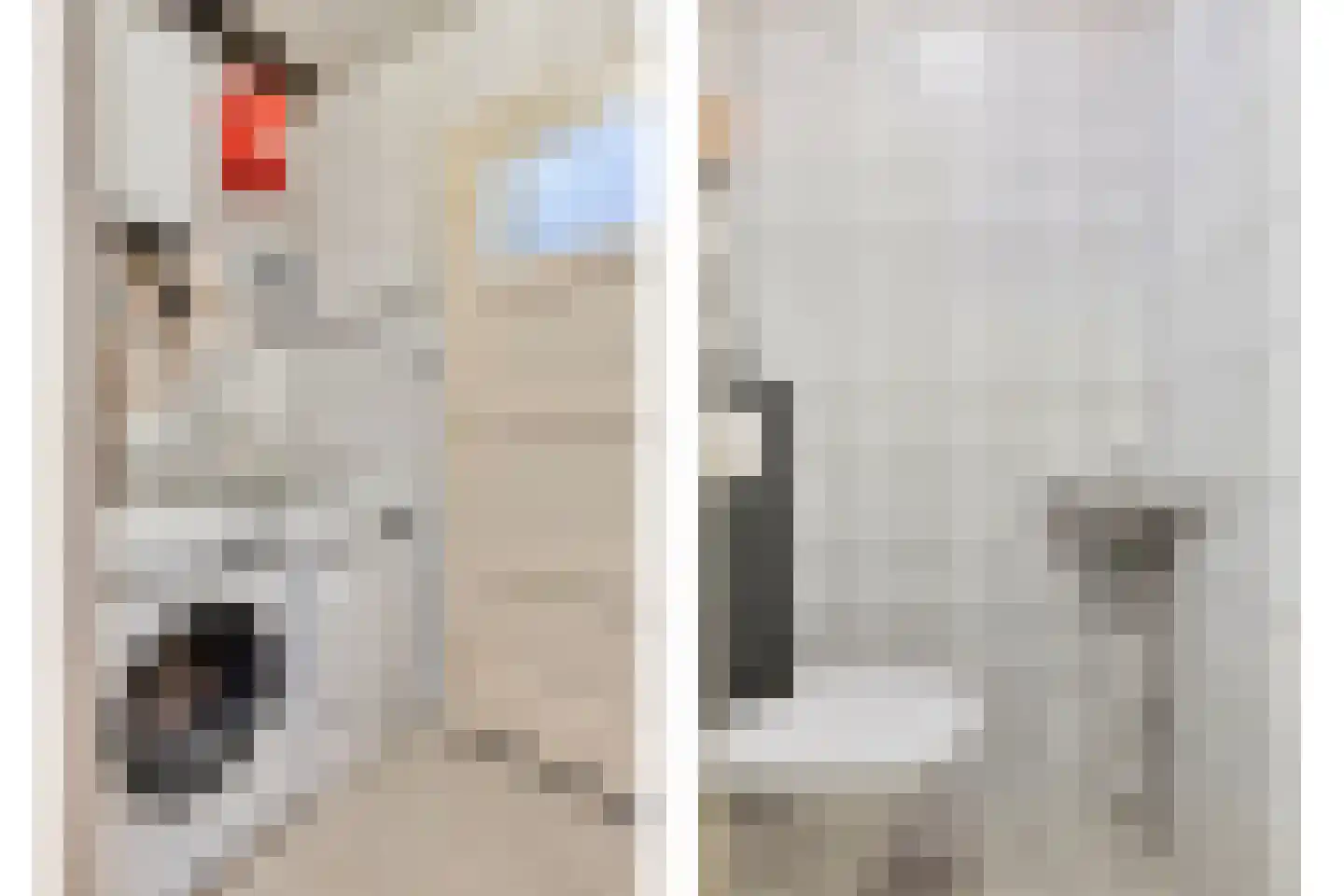Piccardtstraat 16 Goes thumbnail 18