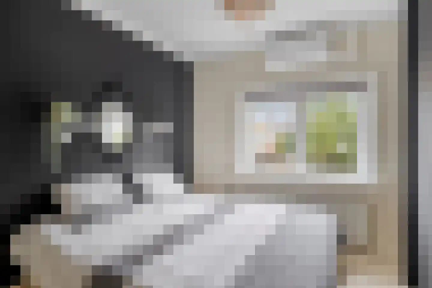 Piccardtstraat 16 Goes thumbnail 23