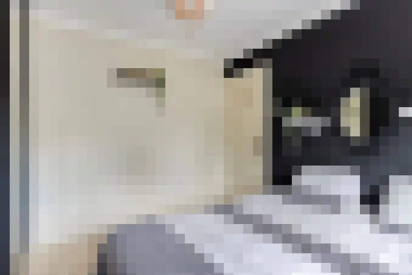 Piccardtstraat 16 Goes thumbnail 24