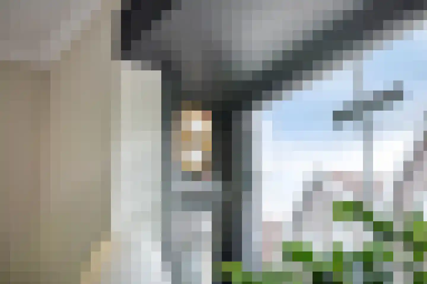 Piccardtstraat 16 Goes thumbnail 7
