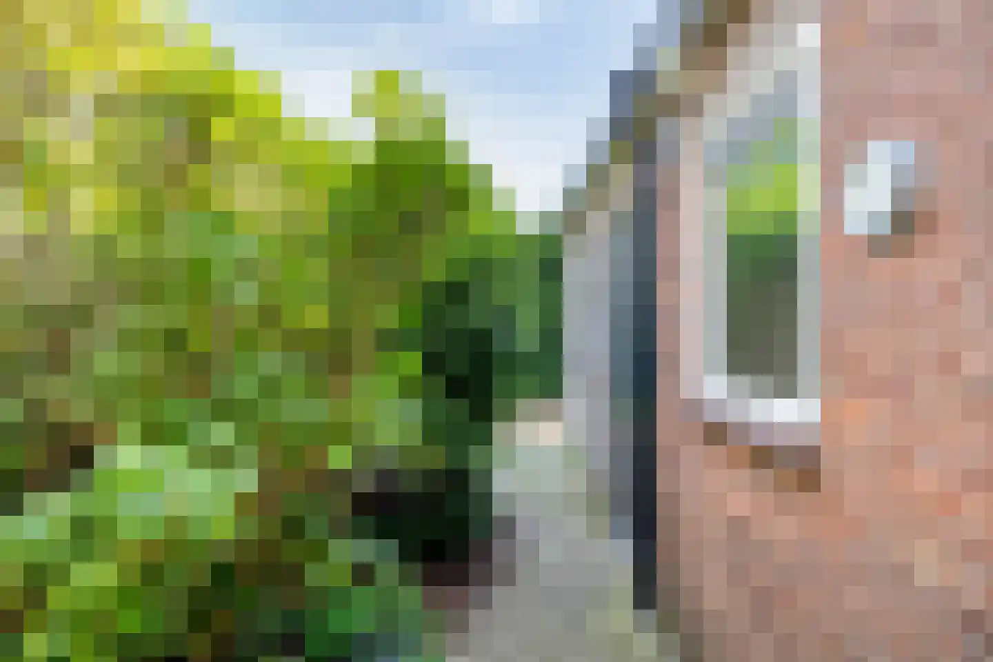 Piccardtstraat 26 Goes thumbnail 23