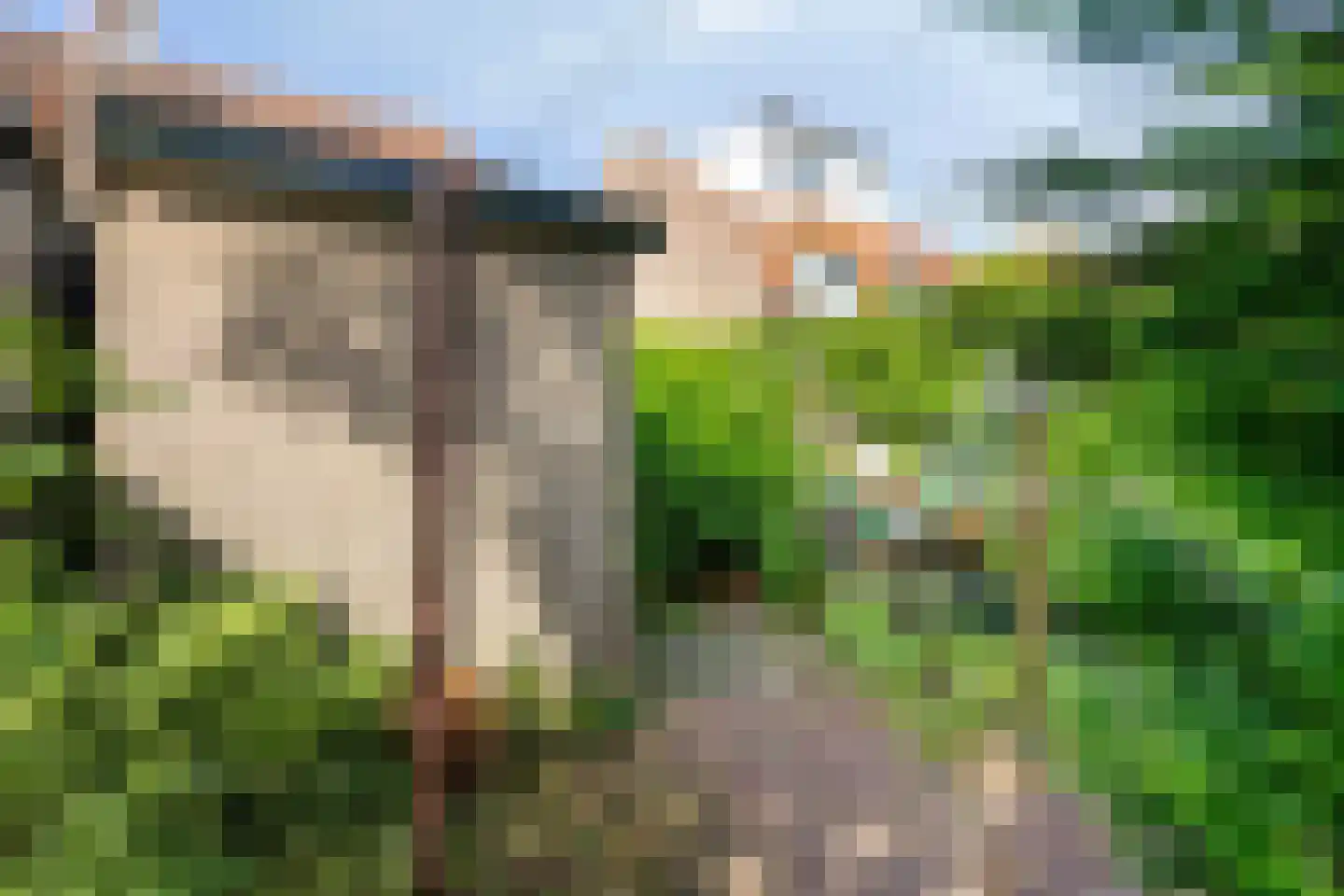 Piccardtstraat 26 Goes thumbnail 26