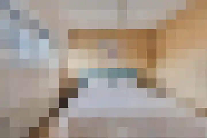 Piccardtstraat 30 Goes thumbnail 18