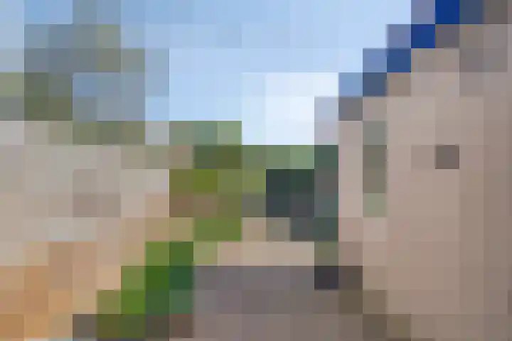 Piccardtstraat 30 Goes thumbnail 25