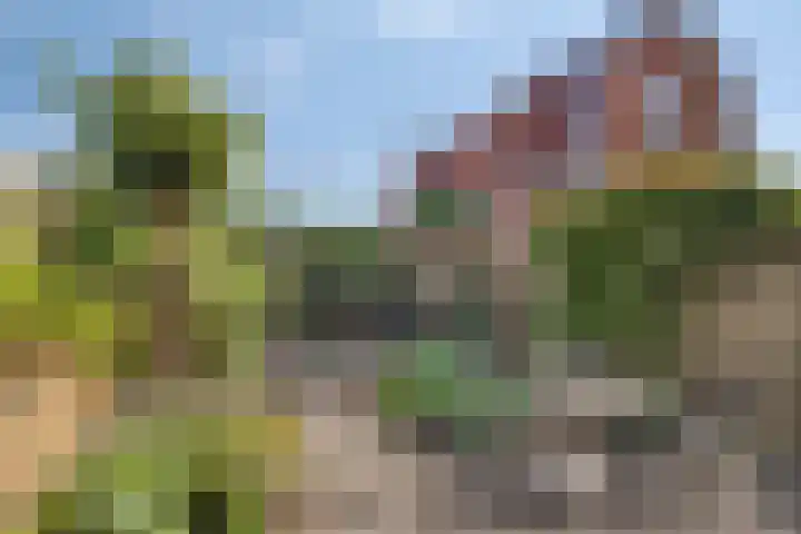 Piccardtstraat 30 Goes thumbnail 26
