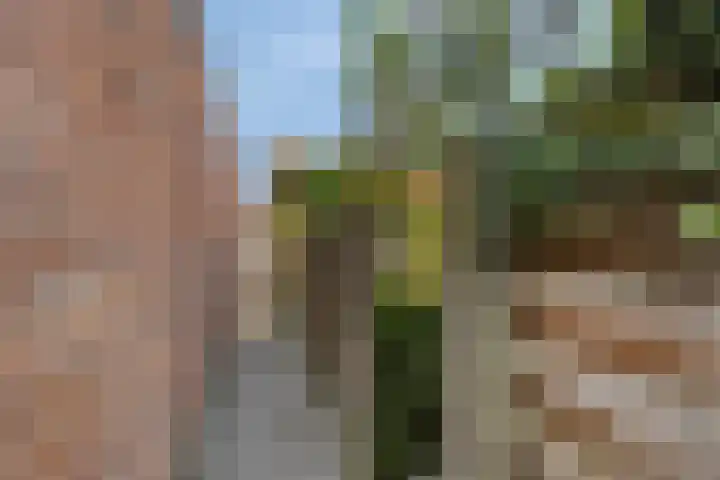 Piccardtstraat 30 Goes thumbnail 28