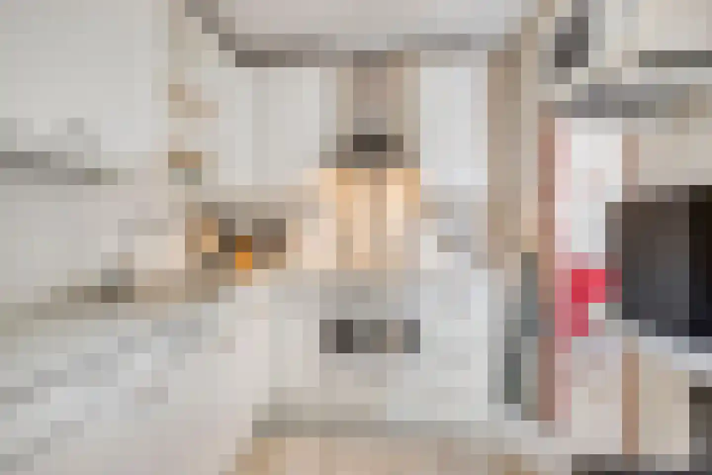 Piccardtstraat 5 Goes thumbnail 10