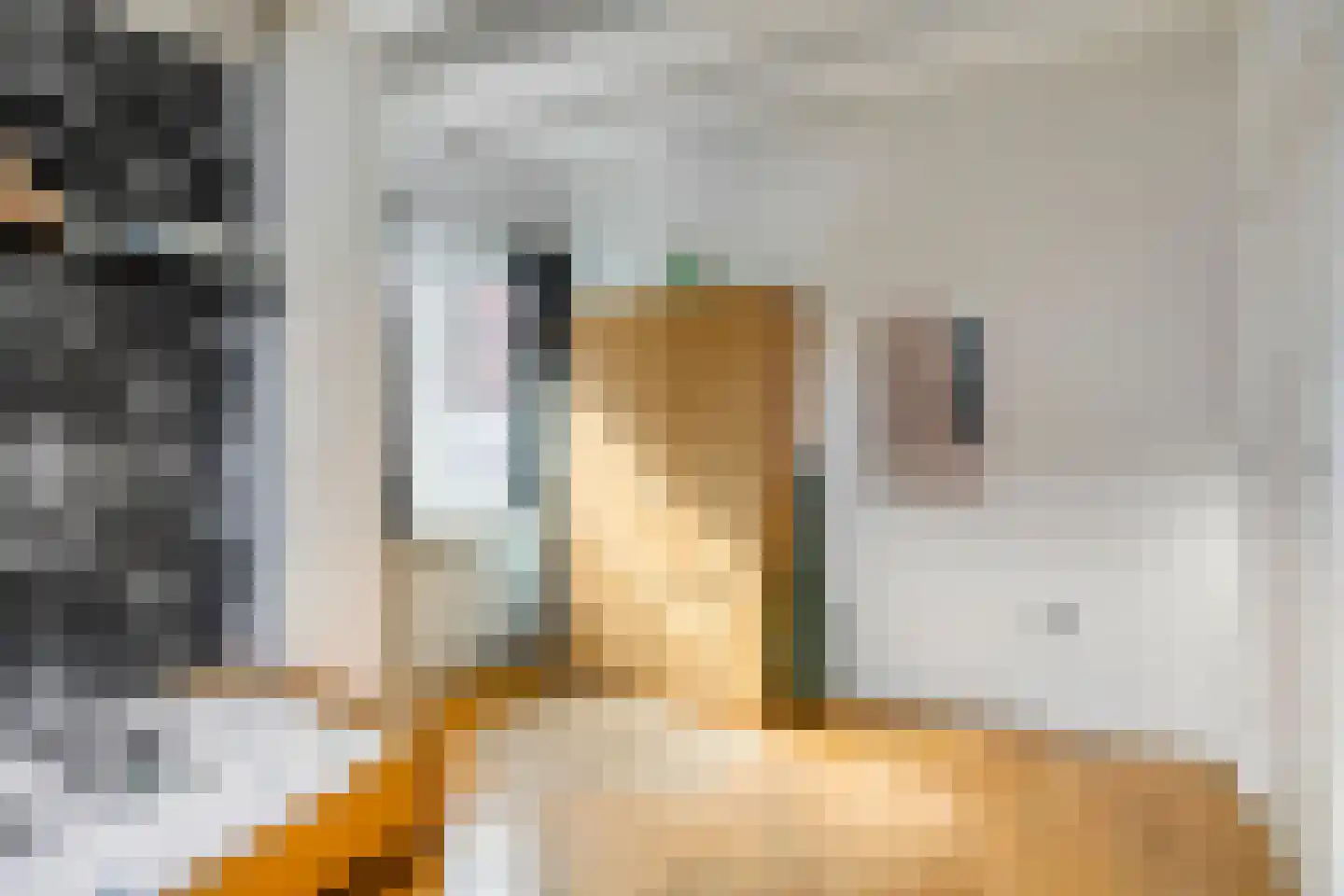 Piccardtstraat 5 Goes thumbnail 18