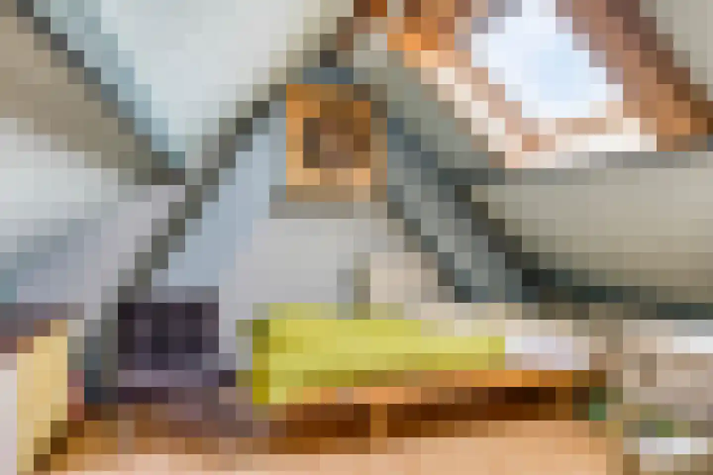 Piccardtstraat 5 Goes thumbnail 20