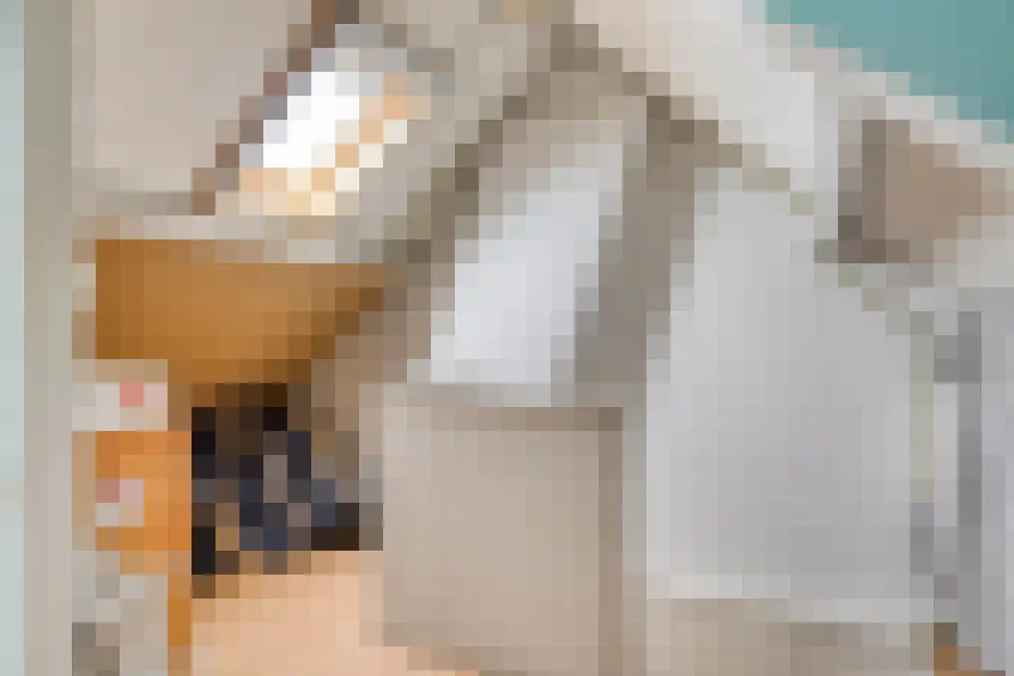 Piccardtstraat 5 Goes thumbnail 21