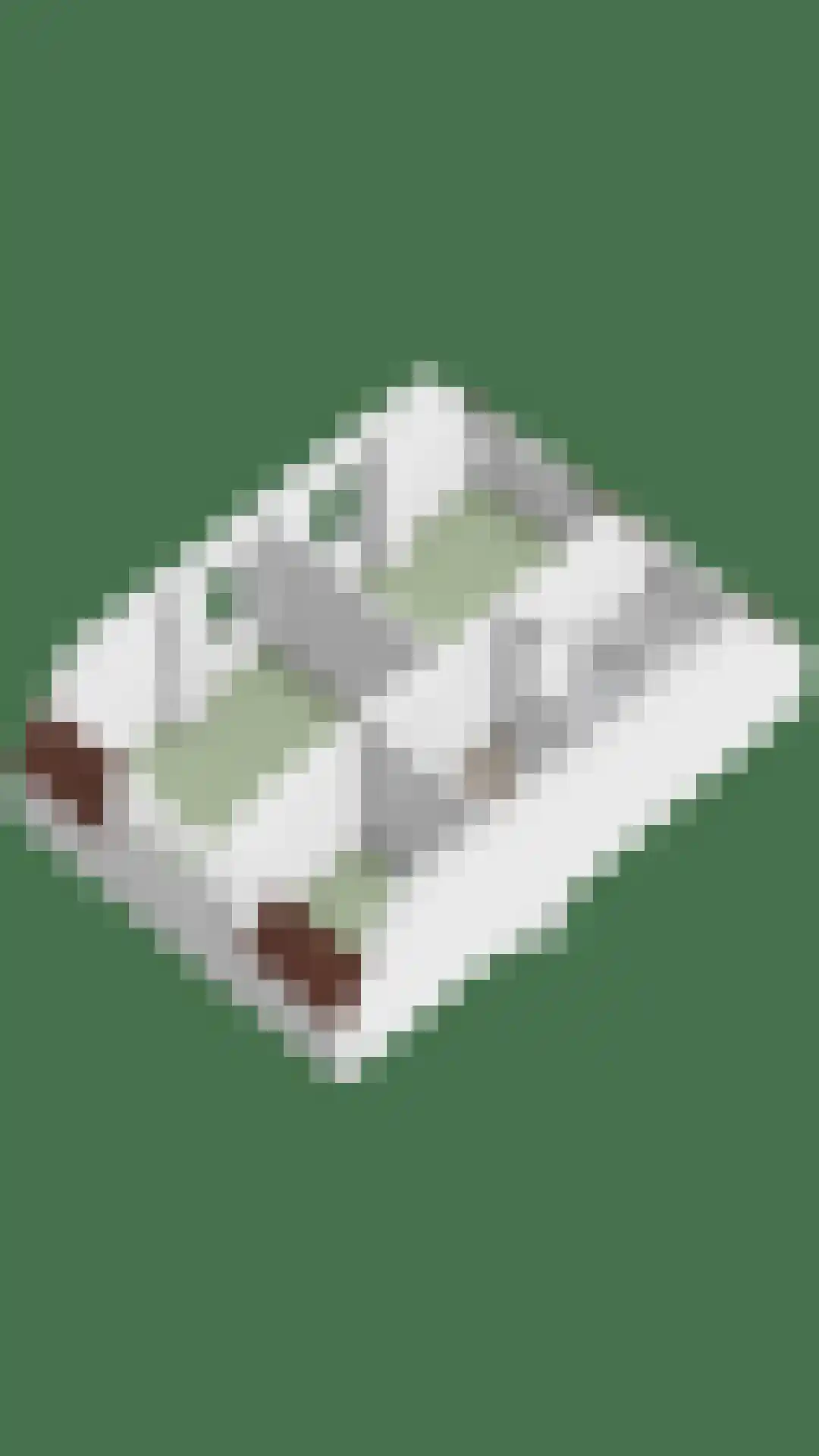 Piccardtstraat 5 Goes thumbnail 31