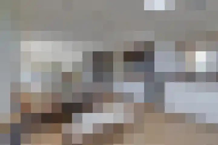 Piccolo 8 Ewijk thumbnail 10