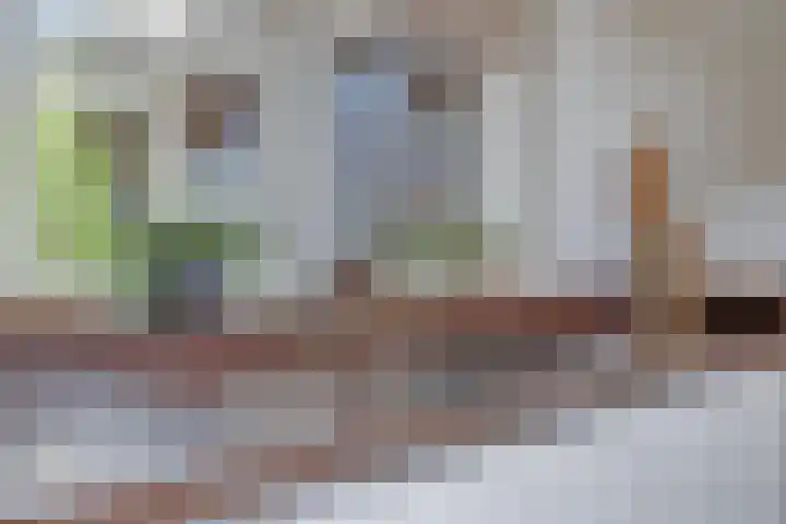 Piccolo 8 Ewijk thumbnail 13