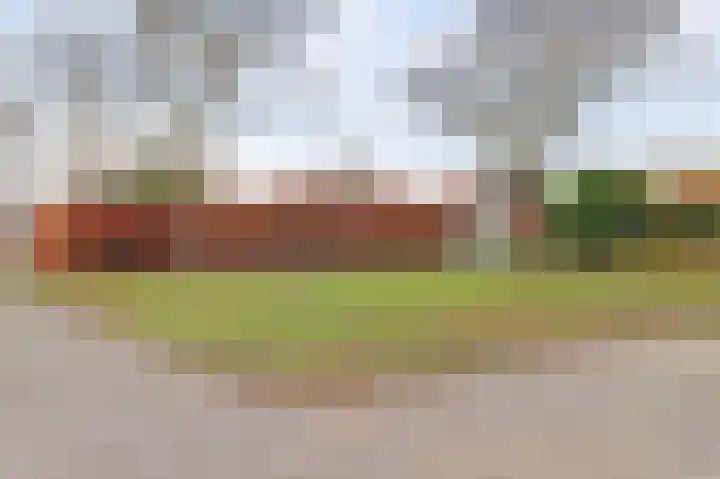 Piccolo 8 Ewijk foto 2