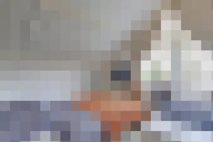 Piccolo 8 Ewijk thumbnail 23