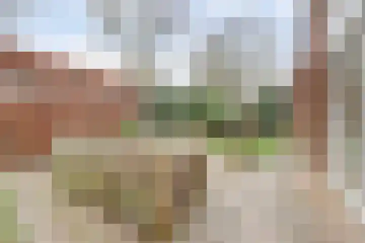 Piccolo 8 Ewijk thumbnail 29