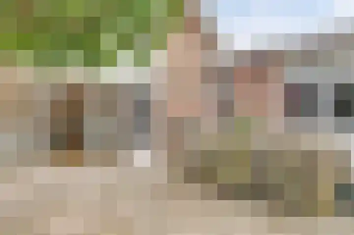 Piccolo 8 Ewijk thumbnail 30