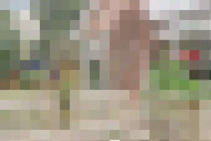 Piccolo 8 Ewijk thumbnail 31