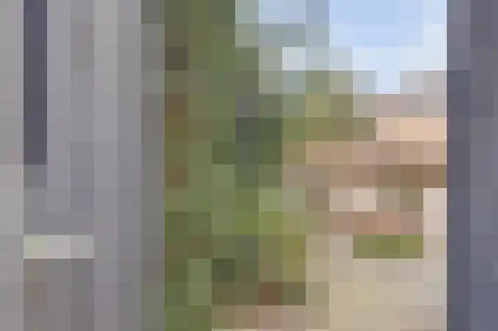 Piccolo 8 Ewijk thumbnail 33