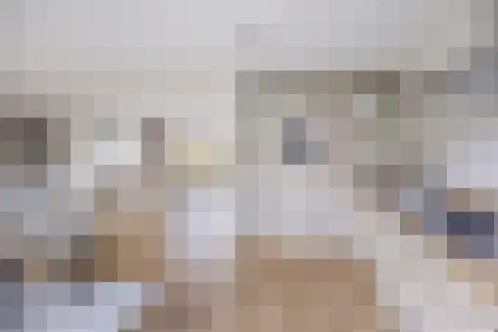 Piccolodreef 32 Harderwijk thumbnail 12