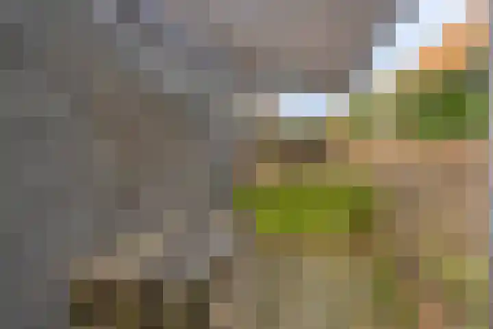 Piccolodreef 32 Harderwijk thumbnail 30