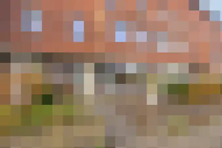 Piccolodreef 32 Harderwijk thumbnail 35