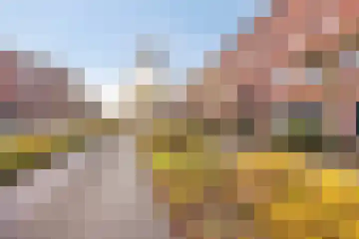 Piccolodreef 32 Harderwijk thumbnail 37