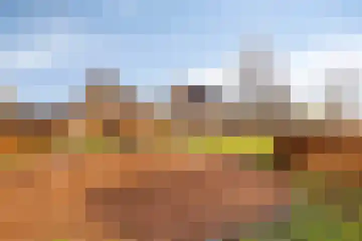Piccolodreef 32 Harderwijk thumbnail 39