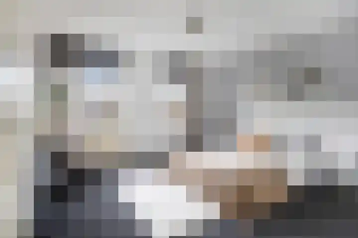 Piccolodreef 32 Harderwijk thumbnail 5
