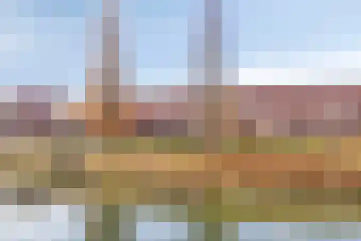 Piccolodreef 32 Harderwijk thumbnail 7