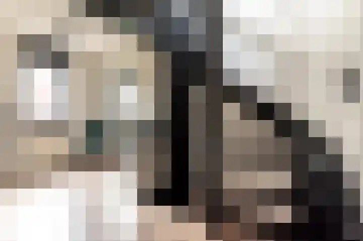 Piccolodreef 40 Harderwijk thumbnail 19