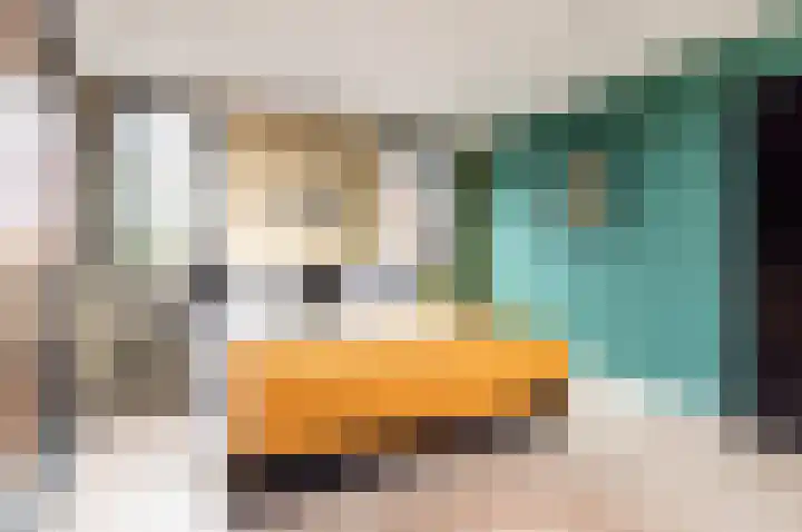 Piccolodreef 40 Harderwijk thumbnail 31